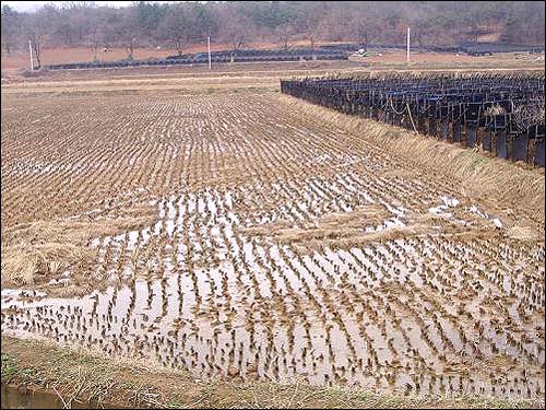 제초제와 농약으로 신음하는 땅 